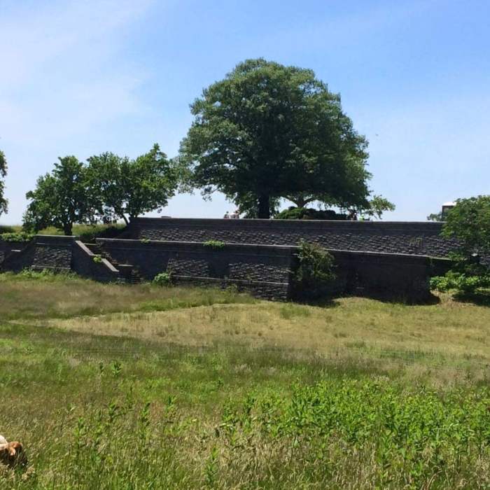 Rockwood Hall foundaiton