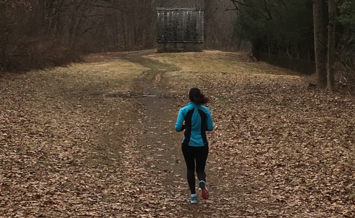 Running Down the Old Croton Aqueduct, part&nbsp;III