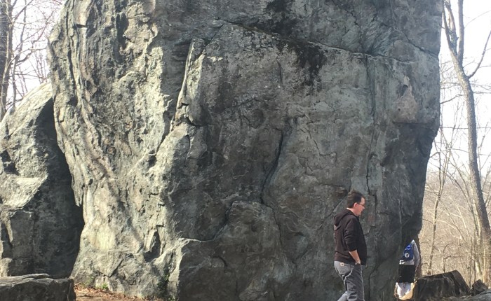 An Erratic in Our&nbsp;Midst