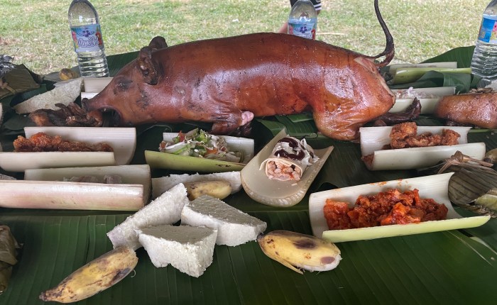 Tonga, where “A great feast of piglets, taro, yams, bananas and cocoanuts was offered. . .” (Post #8)